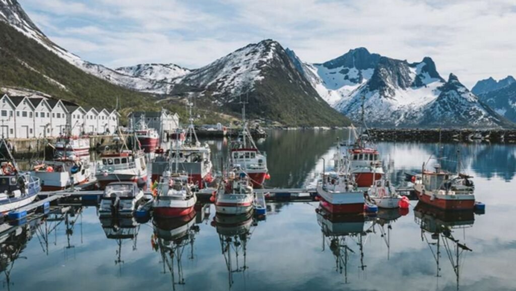 ile de Senja Norvège