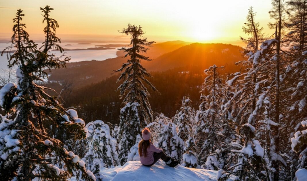 parc national Koli hiver