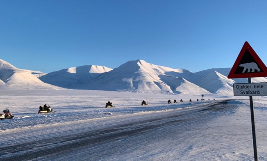 voyage svalbard ours polaire