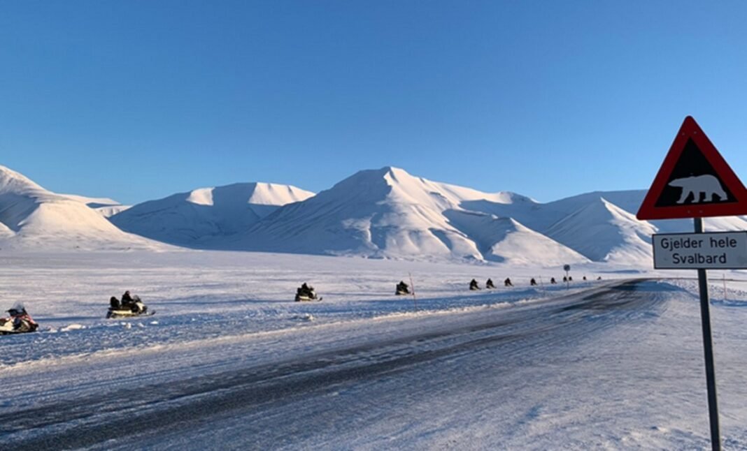 voyage svalbard ours polaire voyage svalbard ours polaire