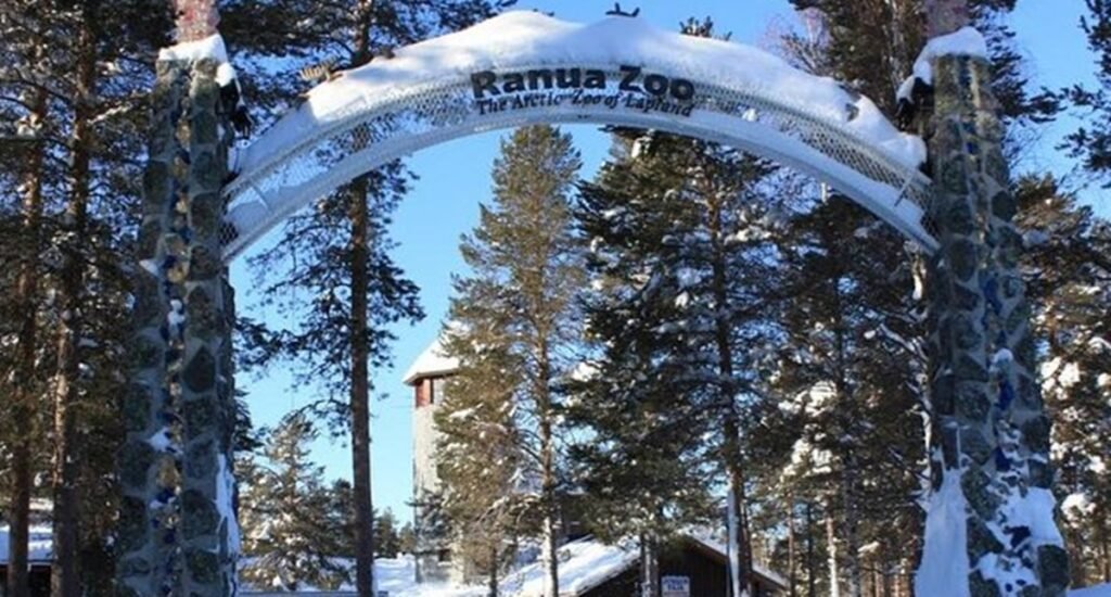 zoo rapua laponie