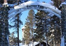 Ranua Wildlife Park : Face à face avec les Ours Polaires en Laponie zoo rapua laponie
